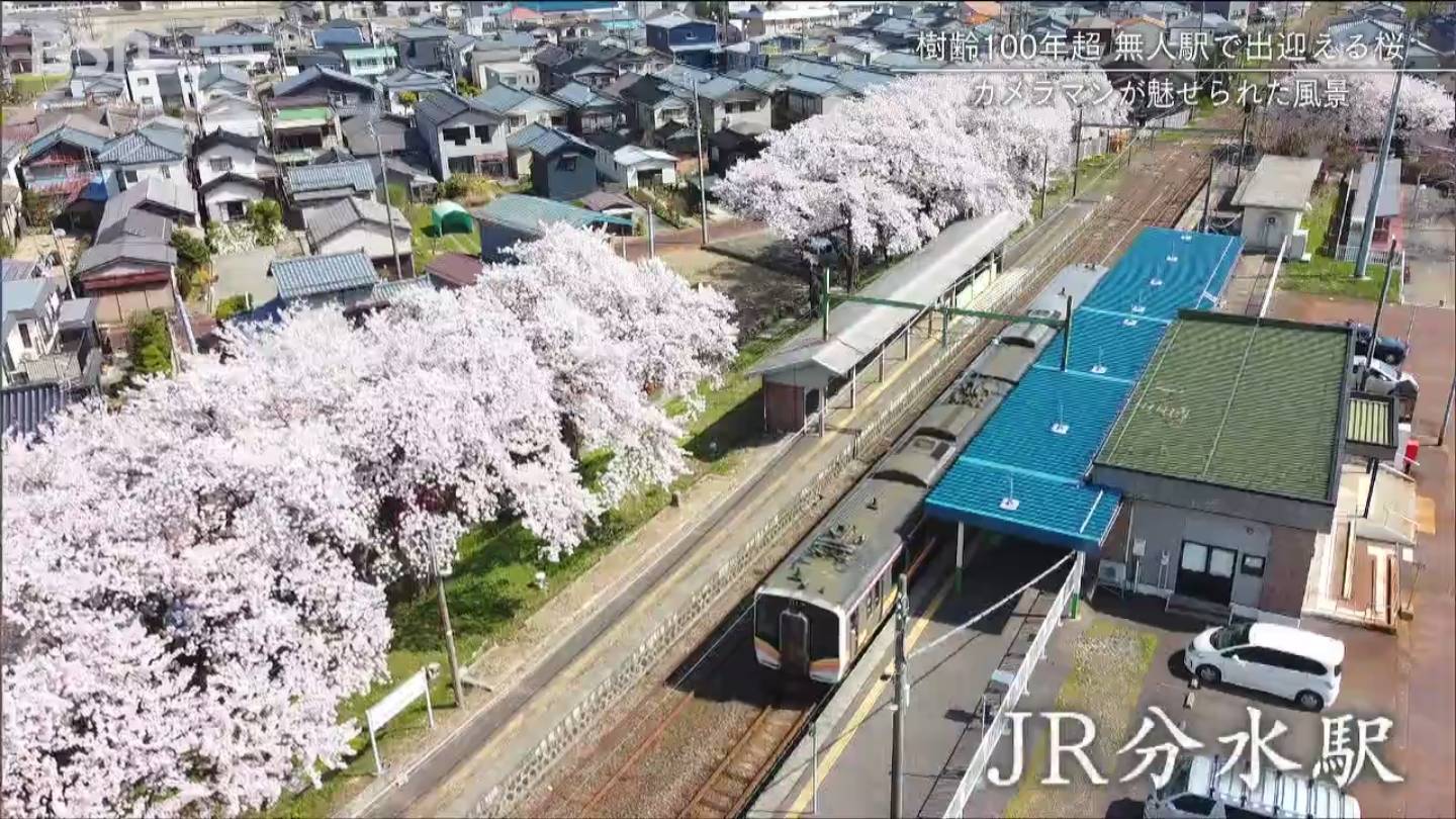 湯布院温泉 ひすいの宿 黎明（れいめい） 料金比較・宿泊予約