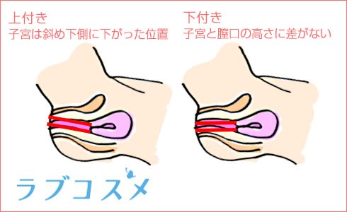 Amazon | Gスポットバイブレーター大人のセックス玩具女性用、舌ローズセックス 玩具ディルドバイブレータークリトリス刺激器10種類の舐め吸い10種類の振動モード羽ばたくクリトリス刺激器アナルセックス玩具