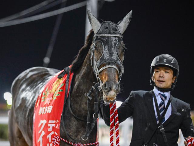 クイーン賞 船橋競馬場_地方競馬 | バナーストック