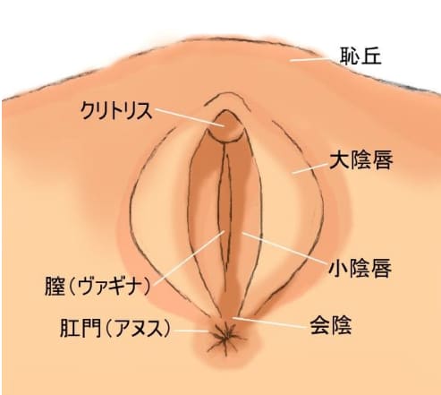 濡れやすい体を作る方法5つ｜濡れやすい女性の特徴や濡れない原因も解説 | ファッションメディア