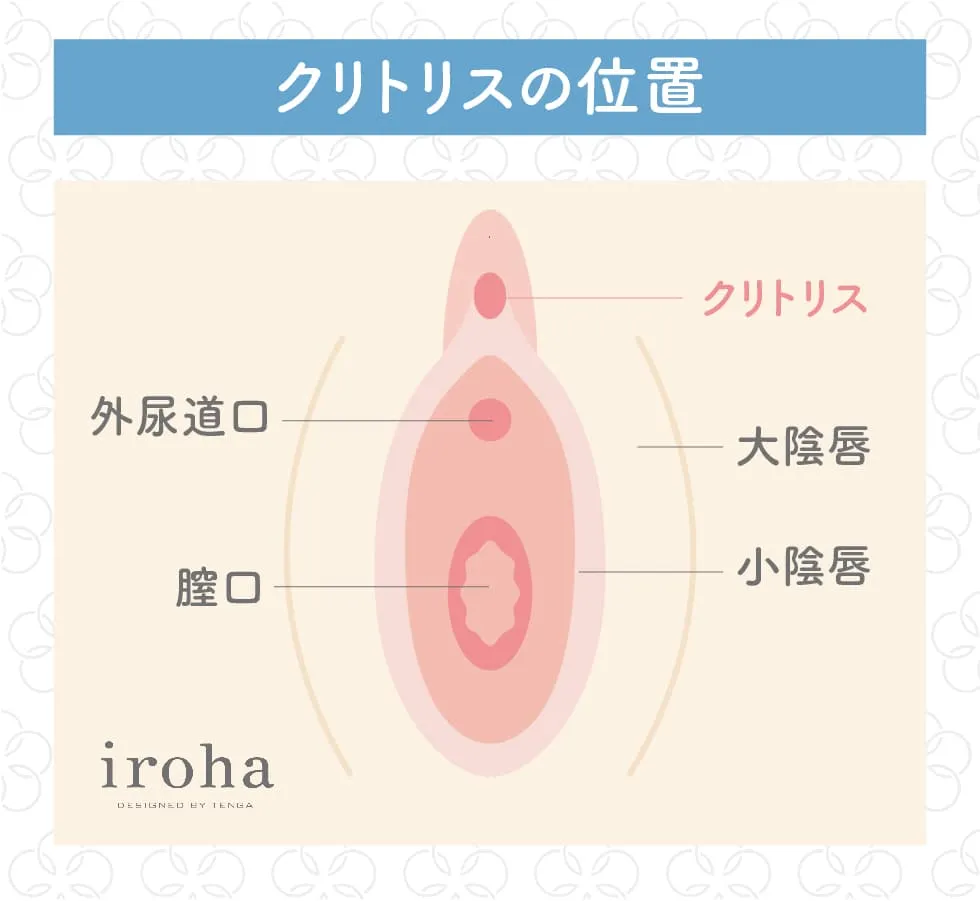 2024年最新版】クリトリスリングおすすめ5選！クリの感度が高まる気持ちいいクリリングは？ | WEB MATE