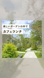 京都市伏見区】都会の中の癒しの森…。お散歩におすすめ西浦南公園。 | 号外NET