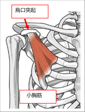 三角巾と松葉杖】急な怪我の際の三角巾や松葉杖の使用方法について解説します