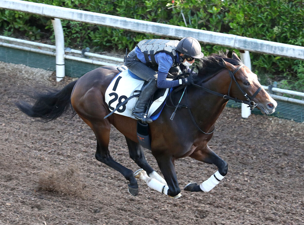 第72回 チャレンジカップ 回顧 | 競馬