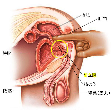 真似したくなる手コキテクニック5選！世界初の「吸引手コキ」を開発した