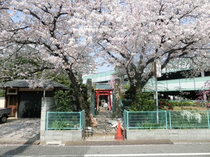 西川口は桜が満開 | こんな写真撮ってます！売ってます！