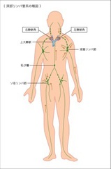 全身リンパとホットかっさボディリンパの違い… | 【河内長野・富田林】肩こり、むくみでお悩みならリンパケアサロンNatural