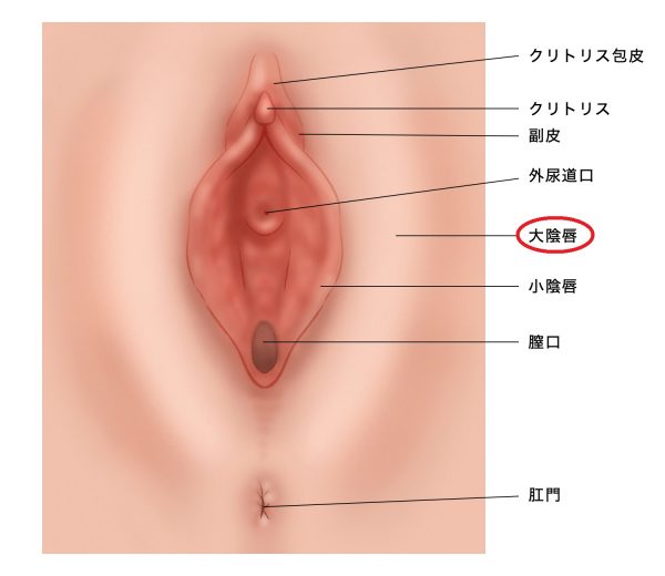 富山三菱自動車販売株式会社 | 2024年12月現在の取り扱い可能な「デリ丸。」グッズ一覧①です。  予告なく取り扱い終了となるものがございます。予めご了承ください。