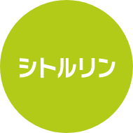 マカ粒 （約12ヶ月分） マカ サプリ サプリメント