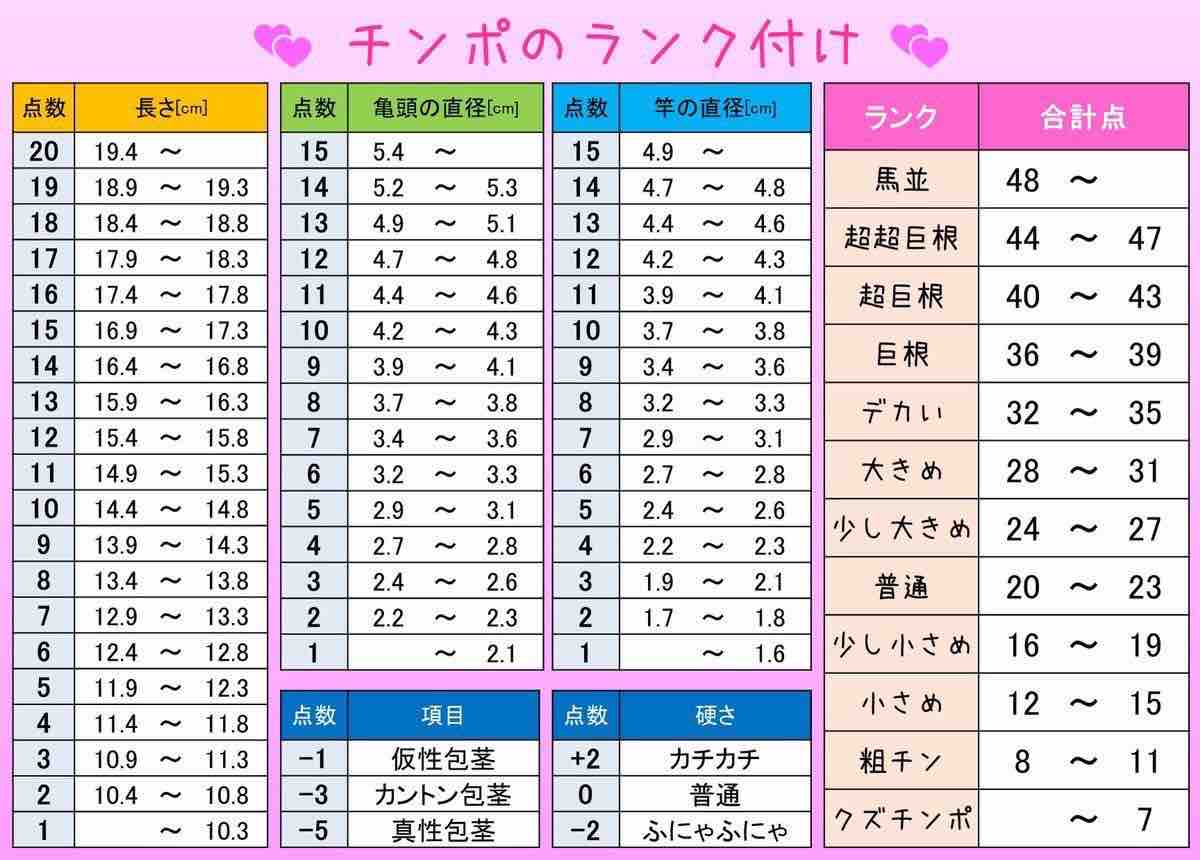 トイレットペーパーを使ったペニスの大きさと太さの測り方を紹介！｜風じゃマガジン