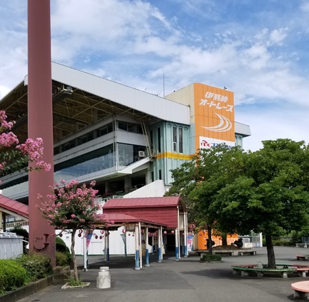 愛犬と一緒に五感で沖縄を味わえるカフェ｜浜松市・沖縄Cafe果報（カフー） | 浜松わんこ旅｜浜松・浜名湖だいすきネット