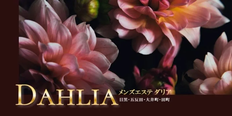 DAHLIA 目黒・五反田店の求人情報 |