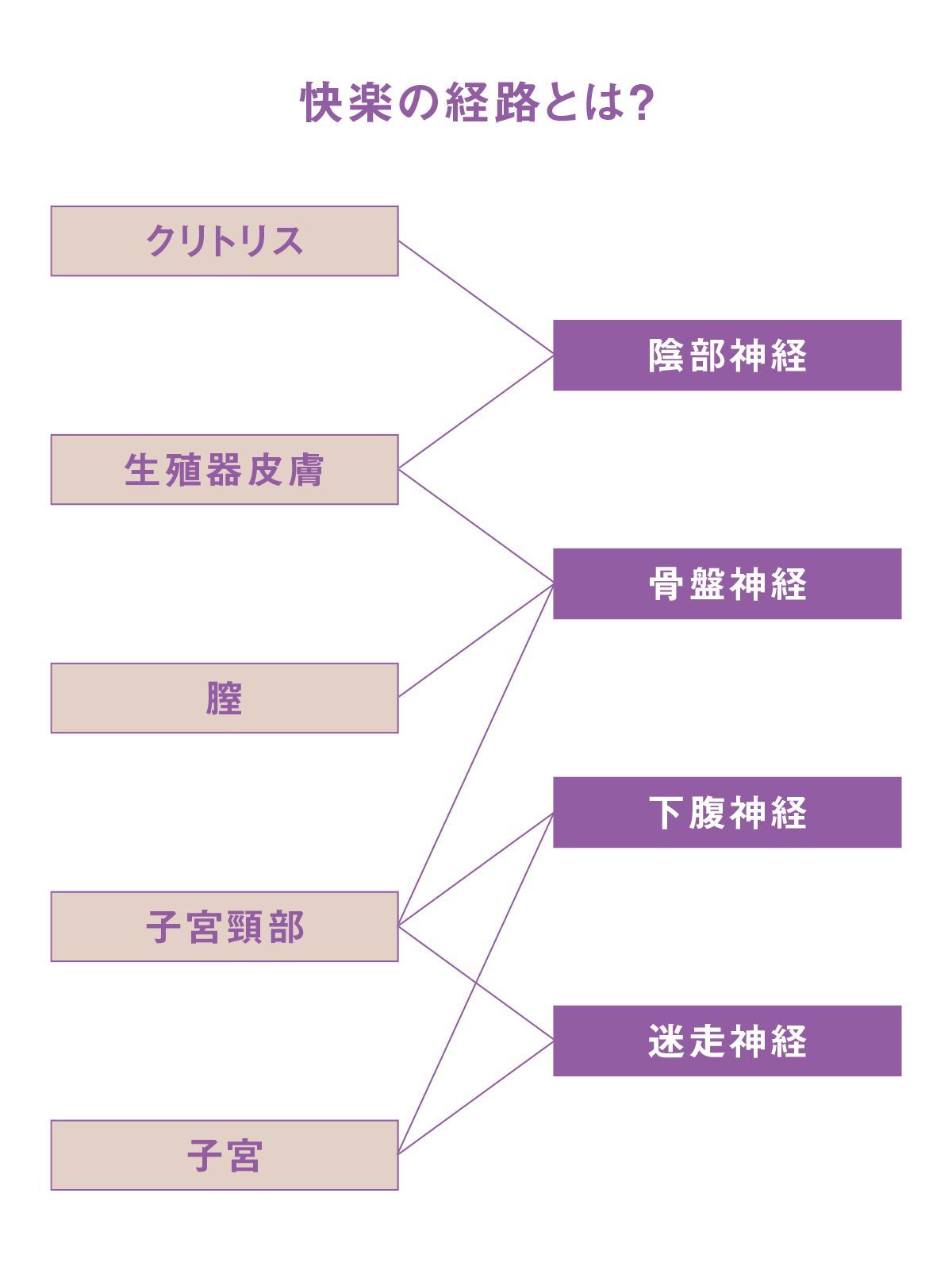 クリは感じるのに…！セックス中、中でイケない時に試したい４つのコト。 – manmam