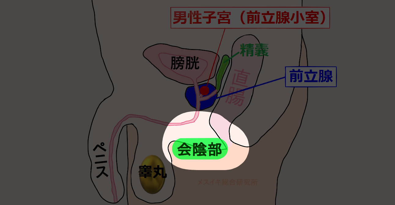 メスイキ｜メスイキ方法｜男のメスイキ｜ドライオーガズム～信長トイズまとめブログ