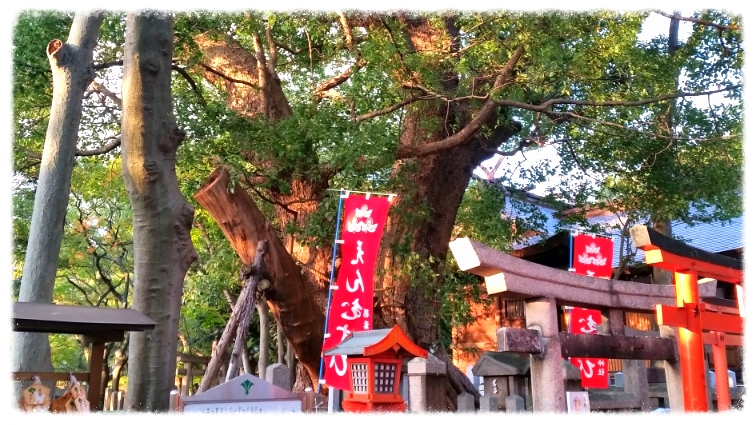 和泉市葛の葉町の信太森葛葉稲荷神社裏の鉄板滑り止め |  建設工事・滑り止め・セキュリティ・再生加工の事なら安全安心支援隊のテック・グランドアップにお任せ下さい！