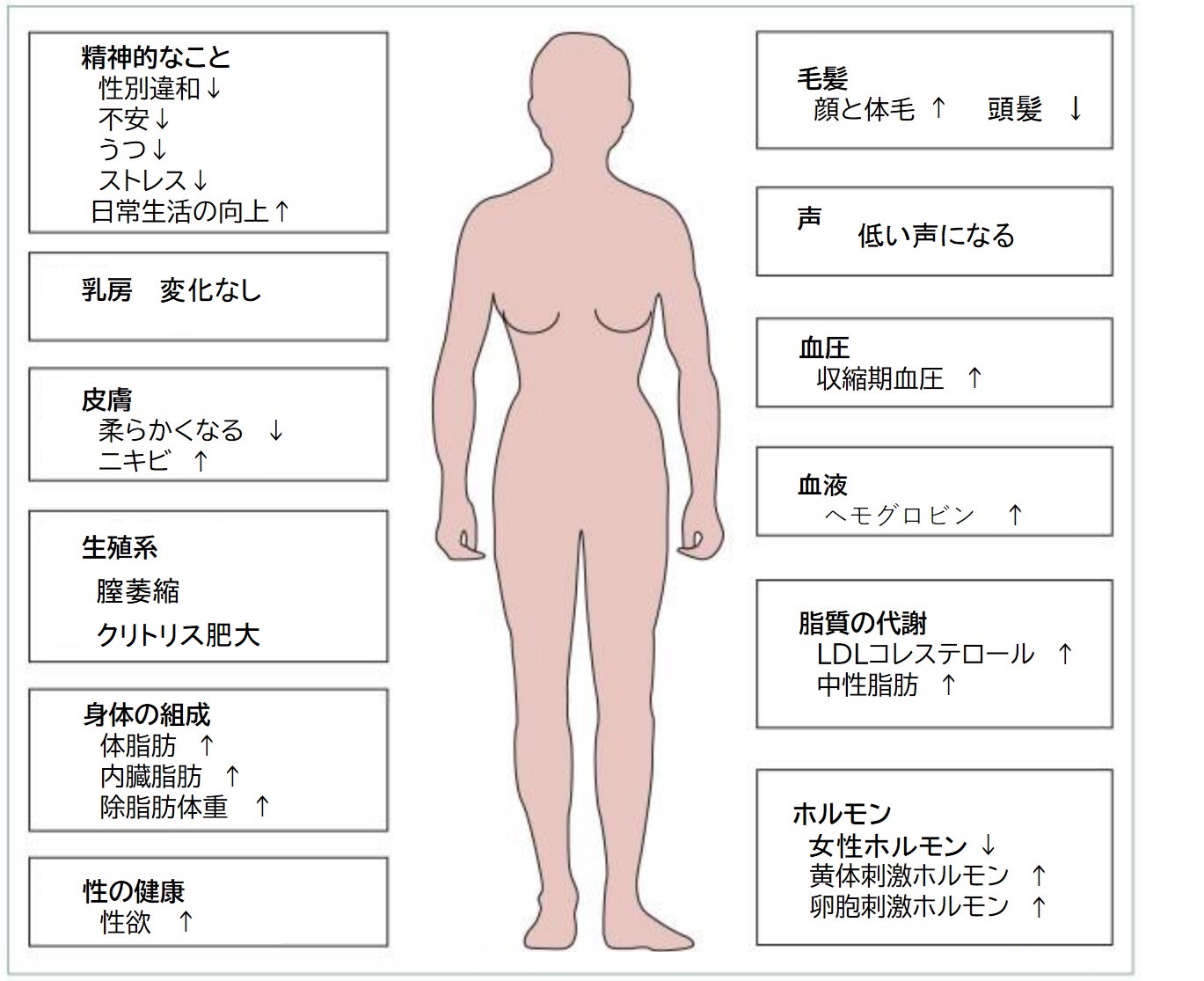 婦人科形成症例写真・画像・ビフォーアフター │ 銀座・麻布十番・恵比寿・大阪・奈良の美容皮膚科・美容整形・美容医療なら敬愛会【公式】