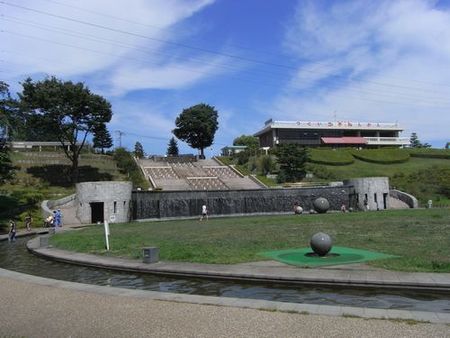 県立津久井湖城山公園のルピナス | 相模原市 季節のお出かけ特集| まいぷれ[相模原市]