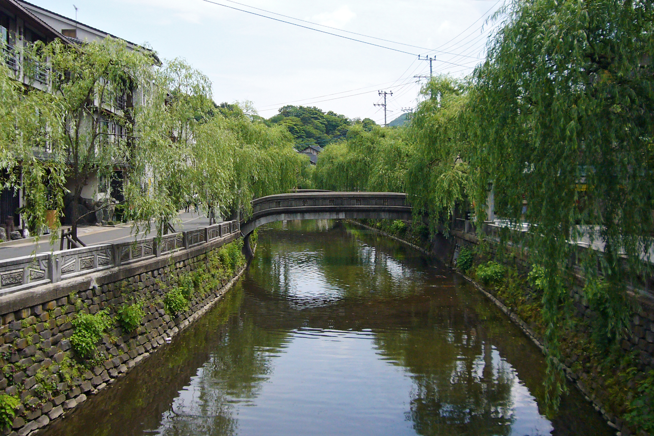 城崎藤野ビル(大分市城崎町１丁目)の建物情報｜住まいインデックス