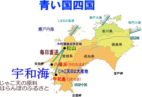 レストラン門田｜愛媛県松山市 瀬戸内風仏蘭西料理