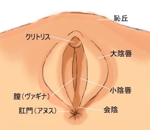 痴女】「メスイキしちゃう？」男のアナルを犯すのが大好きなロリっ子がＭ男宅を訪問して指やオモチャでアナル責め！セックスで中出しもするしヤリたい放題！(松本いちか)  | 痴女りちじょられ動画