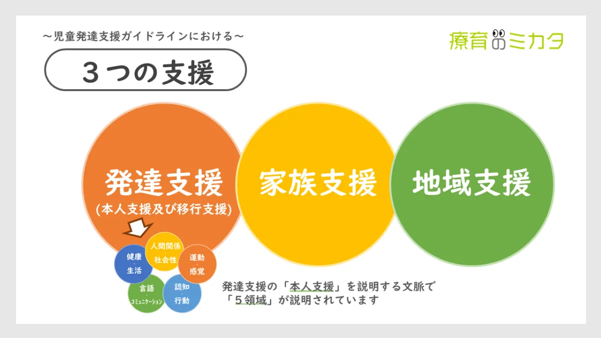 AF（心房細動）の心電図の特徴とは？ | 心電図の達人