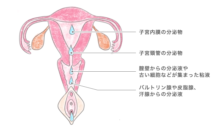 2017年10月｜銀座ケイスキンクリニック｜東京・銀座の美容皮膚科・美容医療・アンチエイジング・若返り