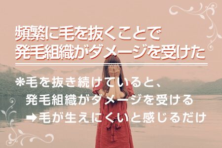 何故、眉毛が生えてこないのか？原因と対処法について | メンズ 眉毛専門サロン プラスエイト