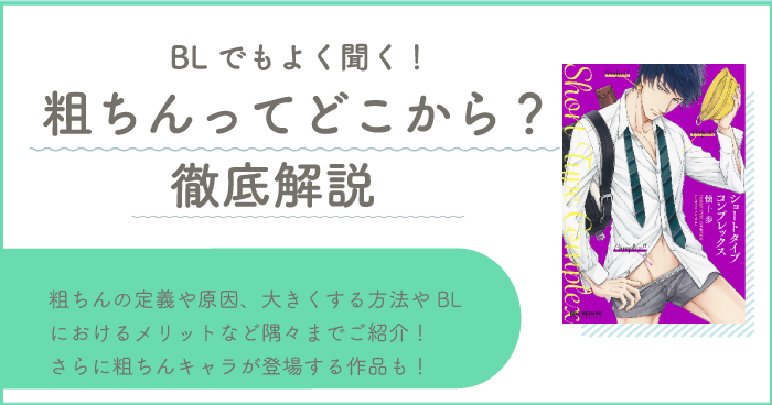 エロマンガ修正読本～性器の消し方・測り方～（滅び屋）の通販・購入はメロンブックス | メロンブックス