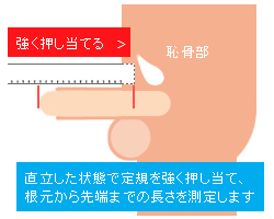 身近なもので測れる！楽ちんリングサイズの測り方！ | itam