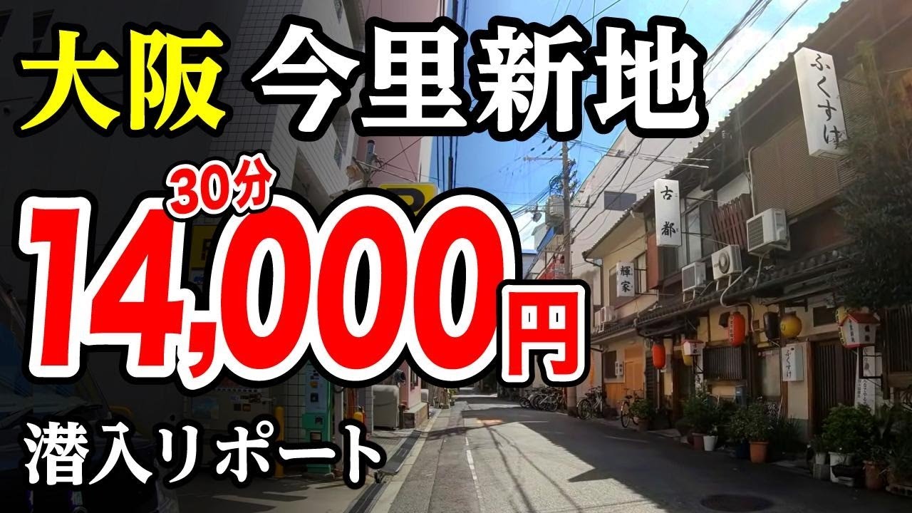 犬も歩けば】大阪五大新地の一角を担う「今里新地」も今は朝鮮人だらけ！カオスな色街を散歩する。【ハングル看板】（3） – 全国裏探訪