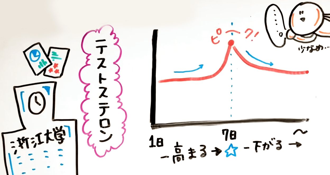 【寸止め/喘ぎ声】コンドームつけて3回寸止めしたあとに射精する動画【オナニー】