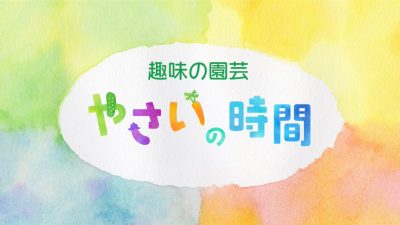 NHK「趣味の園芸」番組＆テキスト情報｜みんなの趣味の園芸（NHK出版）