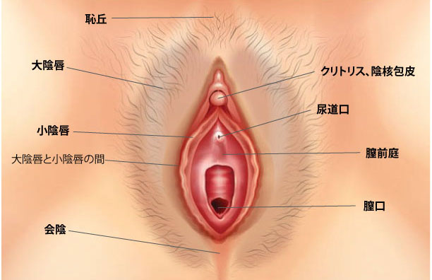 男性必見！クンニで女性がイクためのコツ4つ │ イケない女性が絶頂を感じる方法もご紹介