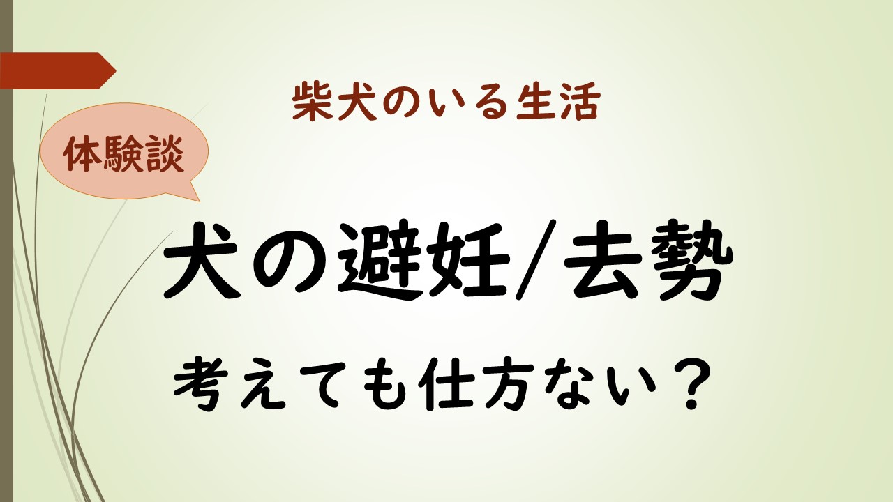 最高だったクンニの体験談｜舐め犬希望のオジサマに逆調教され快楽落ち