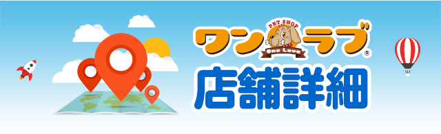 福岡市東区】楽しい空間が広がる「ペットショップ ワンラブ」♪ ワンちゃん猫ちゃんたちが、広々ケージで新しい家族との出逢いを待っています♪ | 