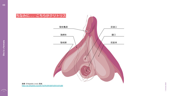 クリトリスオナニー絶頂説明書】最高に気持ちいいやり方！クリオナでイクコツためのコツ | 【きもイク】気持ちよくイクカラダ