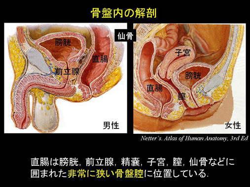 アナルセックスのやり方や出会い系で彼女以外の人妻・尻処女と気持ちいい中出しエッチした体験談