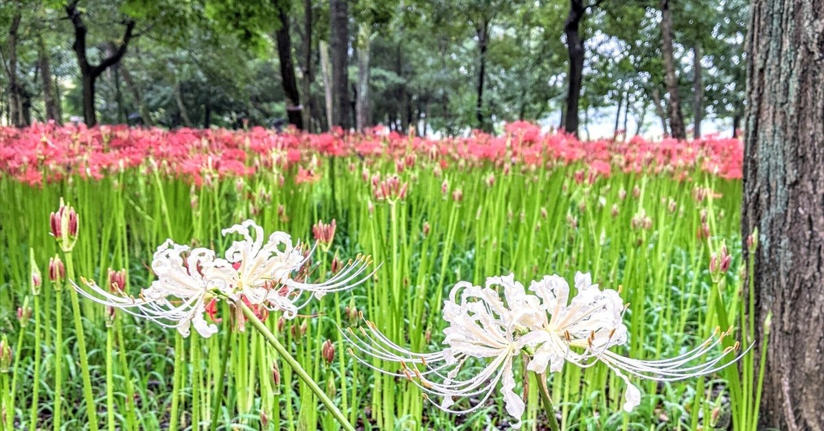 心身を蝕む｢宗教虐待｣は親だけの責任ではない 社会全体で｢虐待された子ども｣を守るべきだ | 特集 |