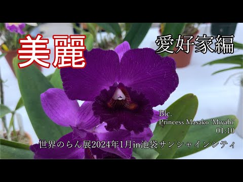 GKZ植物事典・カトレア・モッシエ