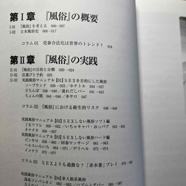 年収８４０万円とか１０００万円を稼ぐ、風俗起業マニュアル