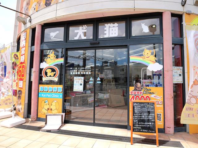 変態レポ】横浜のおすすめアダルトグッズ店3選！あらゆるエログッズあり！ | happy-travel[ハッピートラベル]