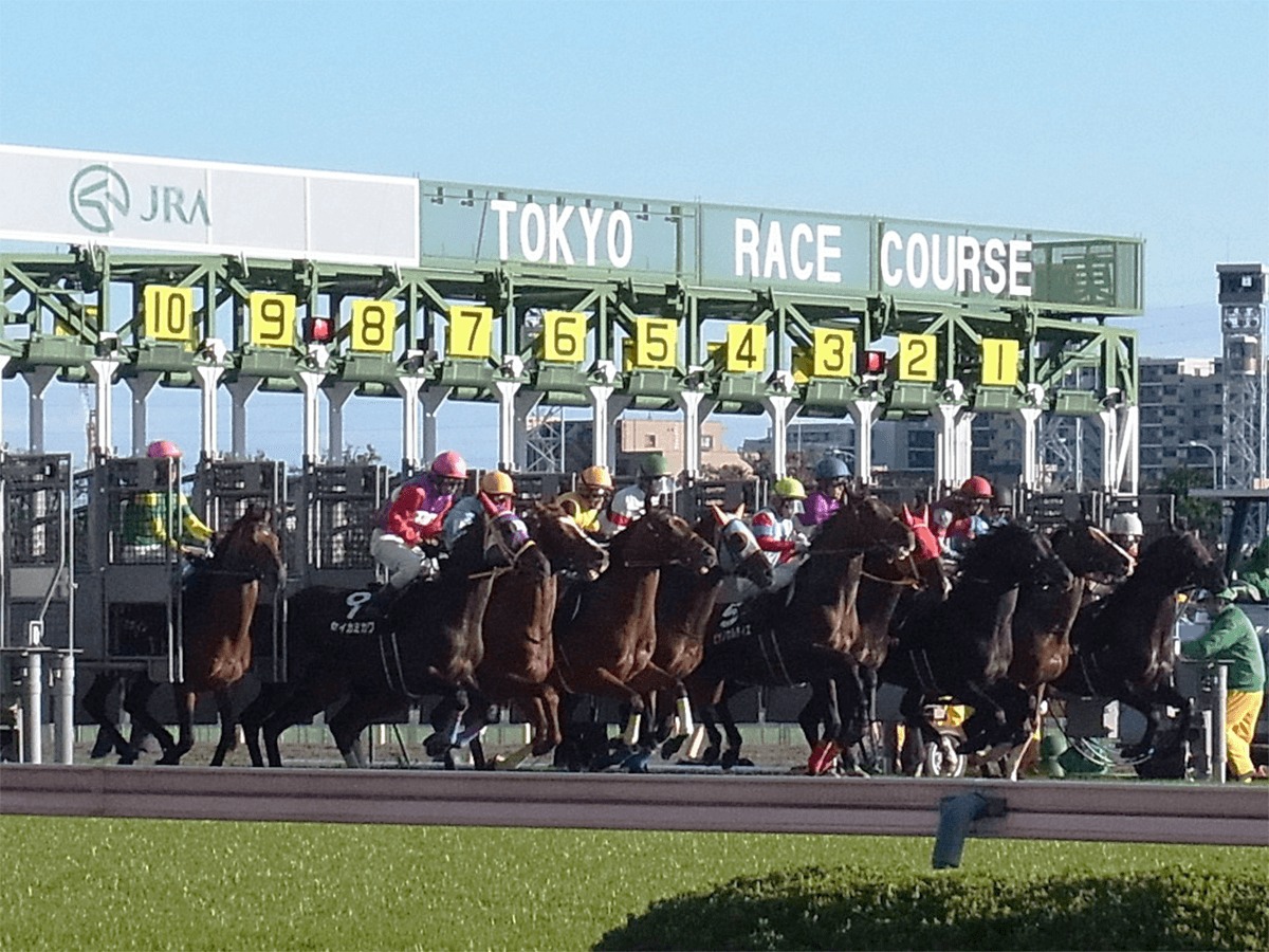 アルジャンナ2017年産 - 競走馬データTOP｜競馬予想のウマニティ