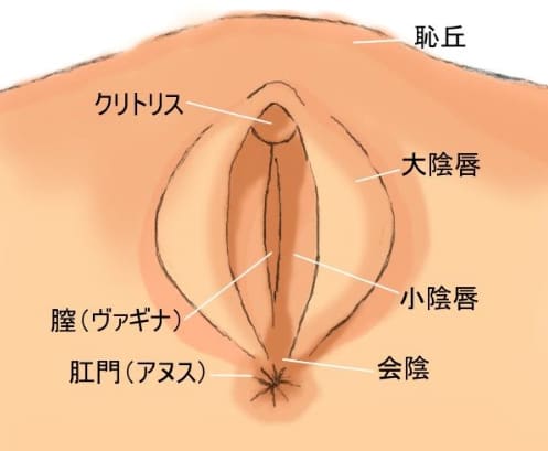 手マンの気持ちいいやり方とは？テクニックや触り方のコツを解説│熟女動画を見るならソクヨム