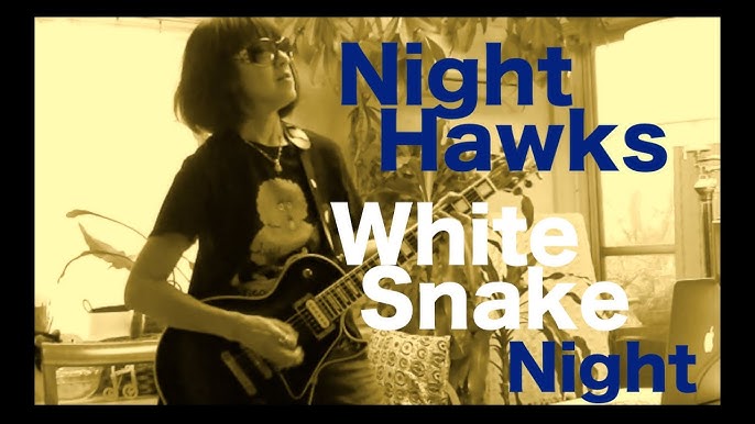 NIGHT HAWKS profile