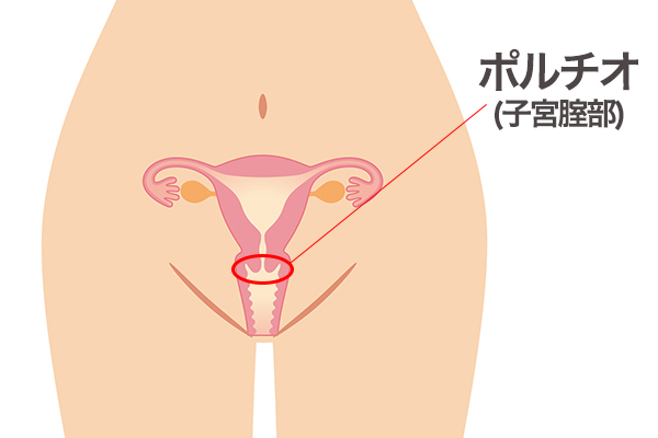 オーガズムとは？女性の絶頂の種類や仕組み - 夜の保健室