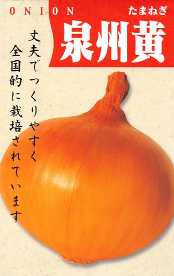 大阪市淀川区】TVでも紹介の淡路島グルメ産品「玉ねぎ」や「オレンジ」が1個から買える『関西“市”めっちゃええやん！兵庫物産展』10日迄。 |  号外NET 淀川・西淀川