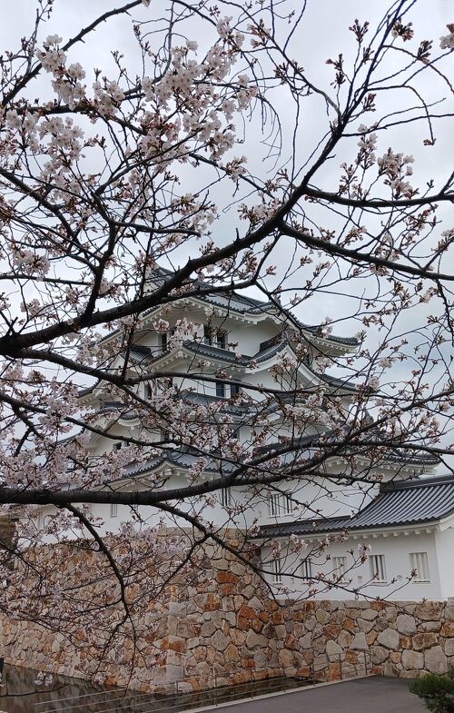 サークル活動登録グループのご紹介｜立花南生涯学習プラザ（尼崎市）