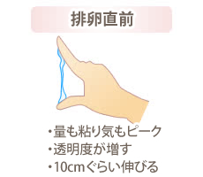 オリモノの異常について | 東京都中央区日本橋の婦人科「エナ女性クリニック日本橋」