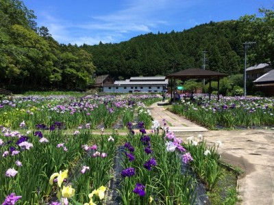 写真 : 愛昇殿 レクストの杜