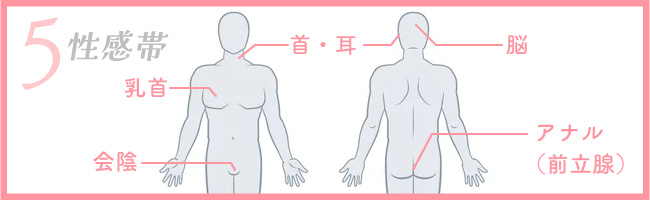 風俗嬢必見！知っておきたい男性の性感帯とその攻め方 - 成功ノウハウの指名編｜びーねっと